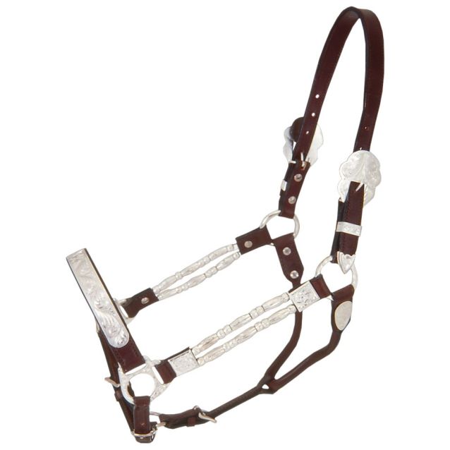 HALTERS