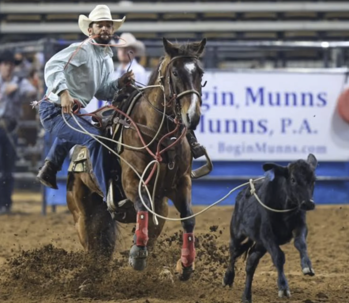 CALF ROPING