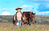 GIDGEE EYEWEAR - Performance Sunglasses