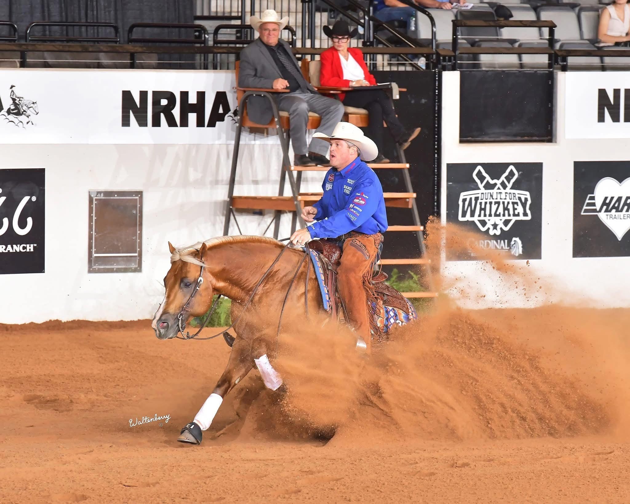 Reining
