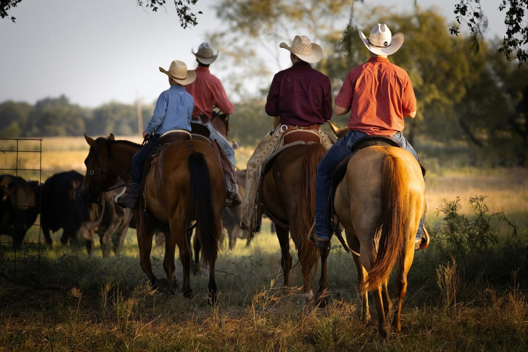 Trail Riding