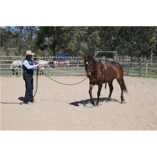 Fort Worth Guy McLean Training Surcingle