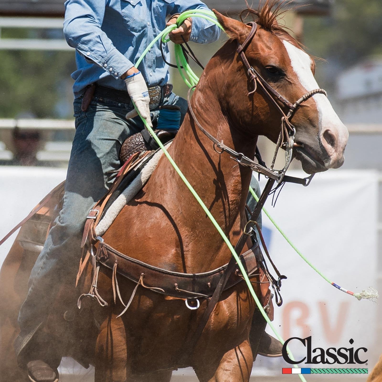 Classic - SPYDR5 35" HEEL ROPE